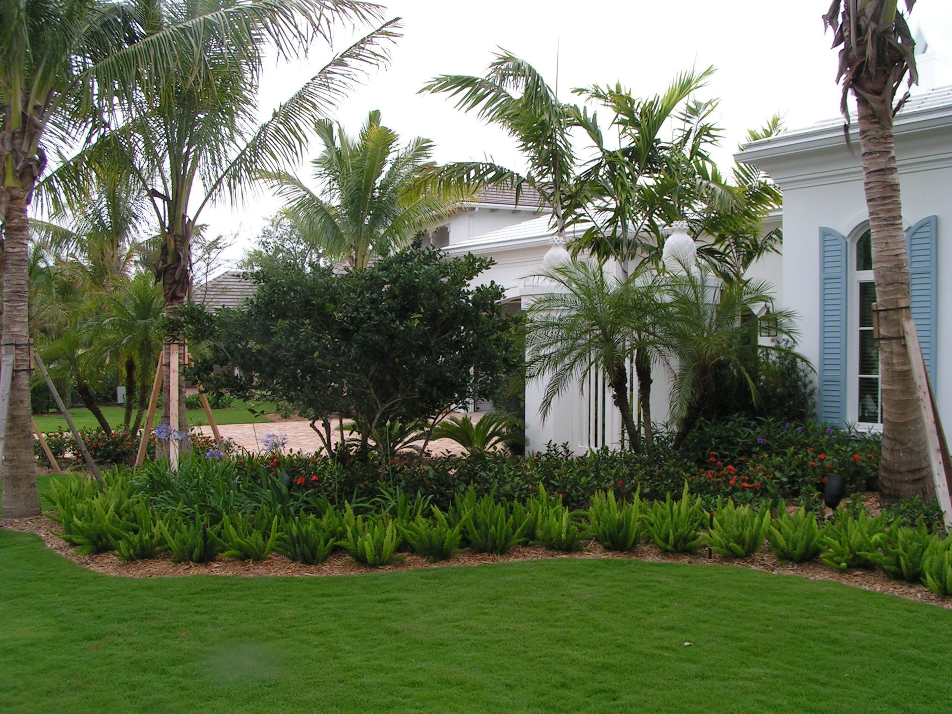 Mirasol I — luxury residential landscape